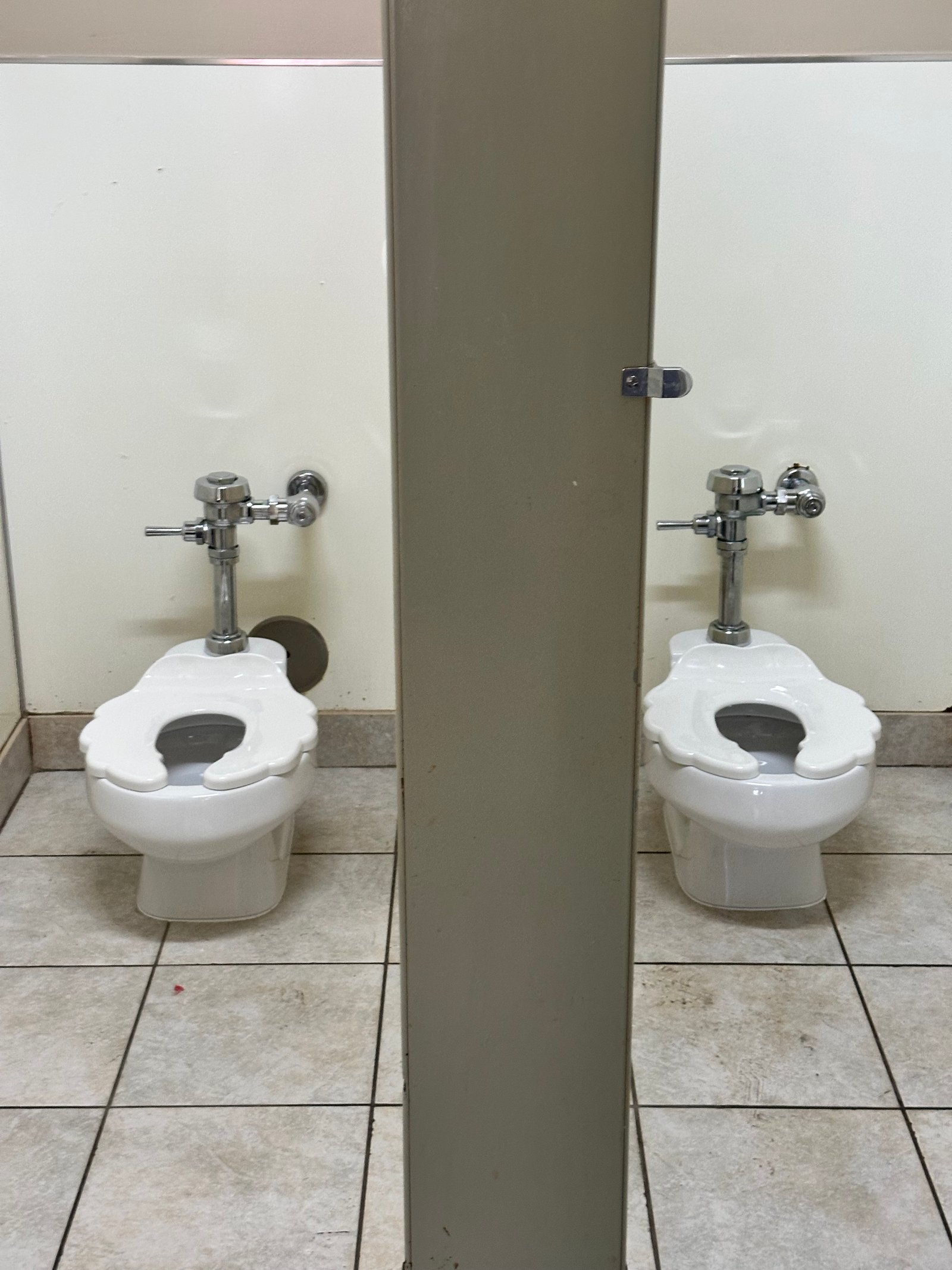 Restroom Plumbing Upgrade – Toilet, Seat & Flush Valve Replacement